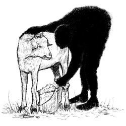 Things we can't Change