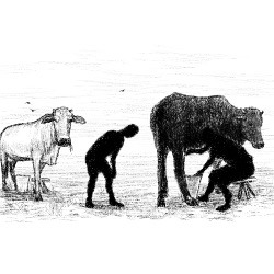 Black or White, all Races are Equal