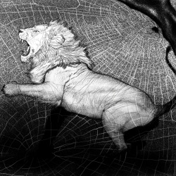 Strength of Togetherness