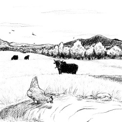 Negativity of the Chicken