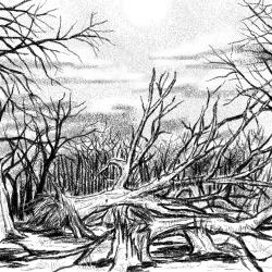 We are Interdependent