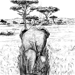 Paying Attention to the Big Picture