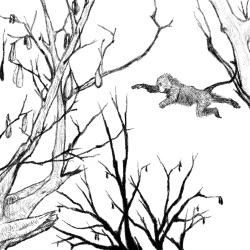 Consequence of Greed