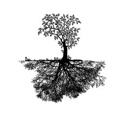 Support from Deep Roots